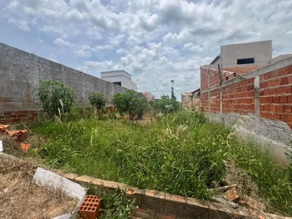 Terreno para Venda, Novo Prudentino — foto 2